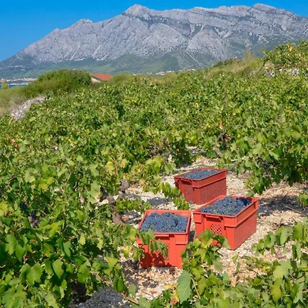 Biserka Dom wakacyjny Orebić