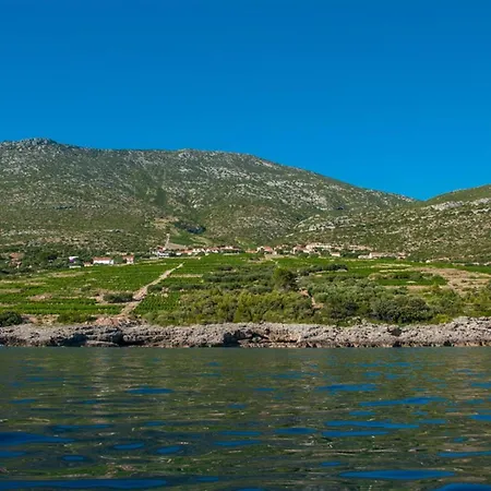 別荘 Biserka オレビック