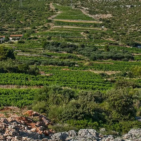 Tatil Evi Biserka *