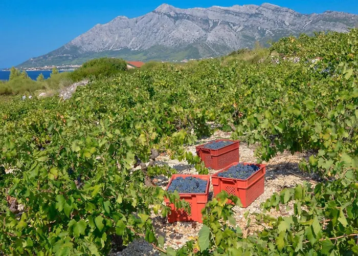 Biserka Dom wakacyjny Orebić