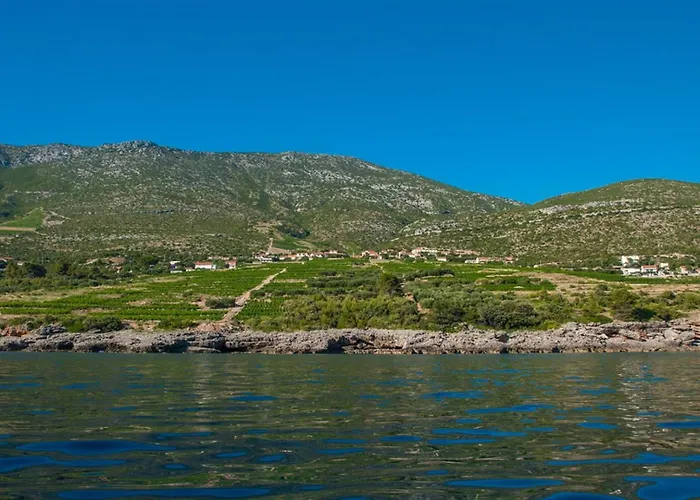 Dom wakacyjny Biserka Orebić