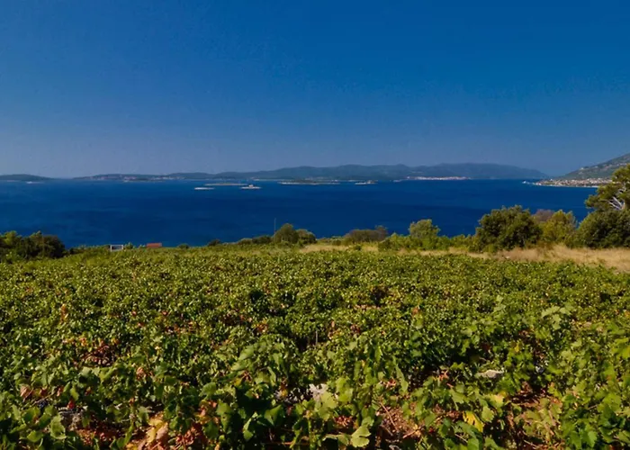 Biserka Dom wakacyjny *