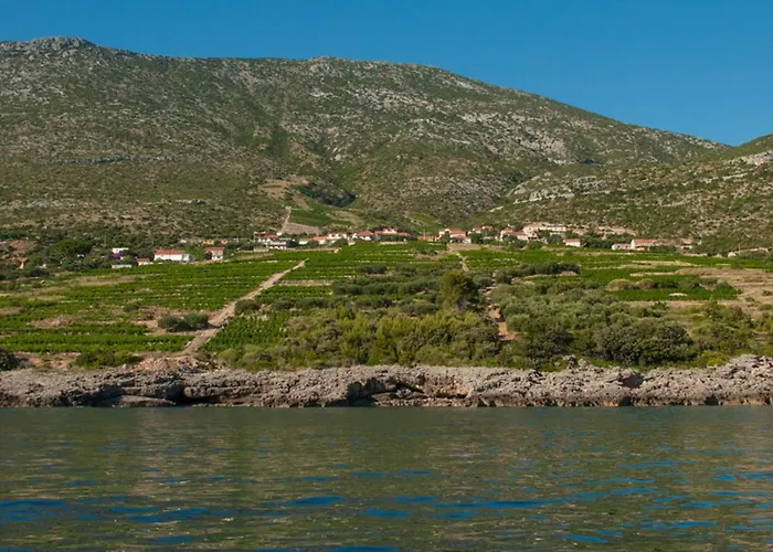 Dom wakacyjny Biserka *