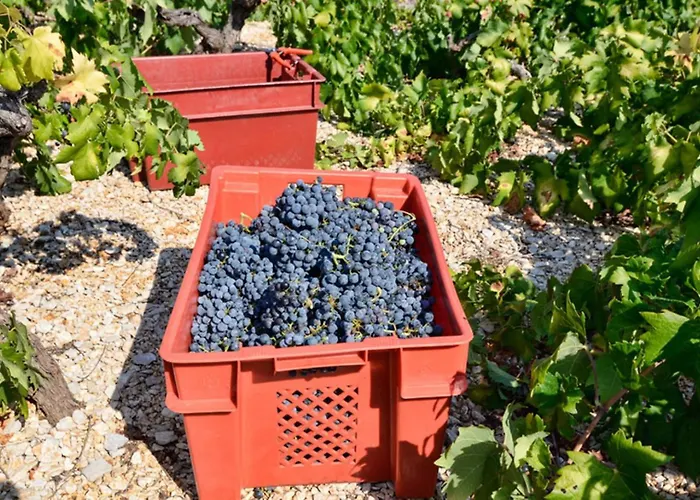 Dom wakacyjny Biserka