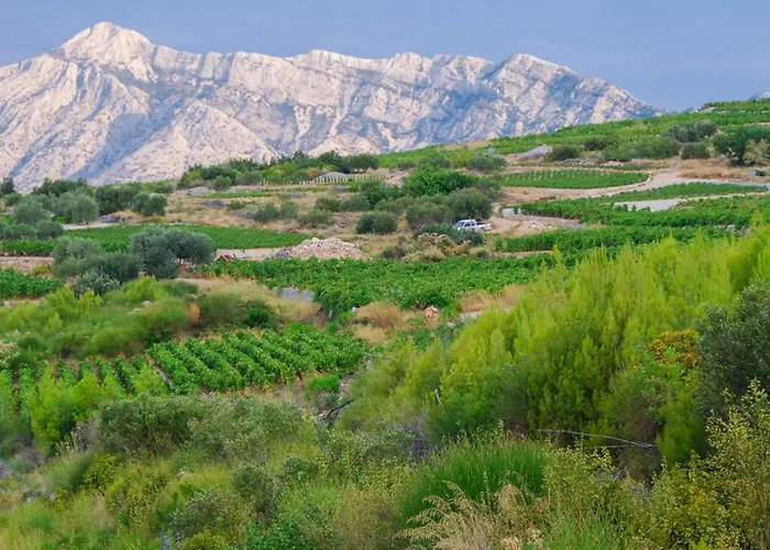 Dom wakacyjny Biserka *