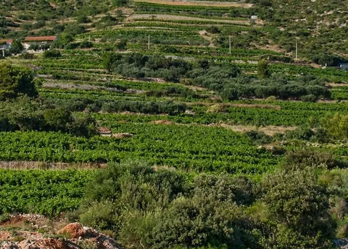 Dom wakacyjny Biserka *